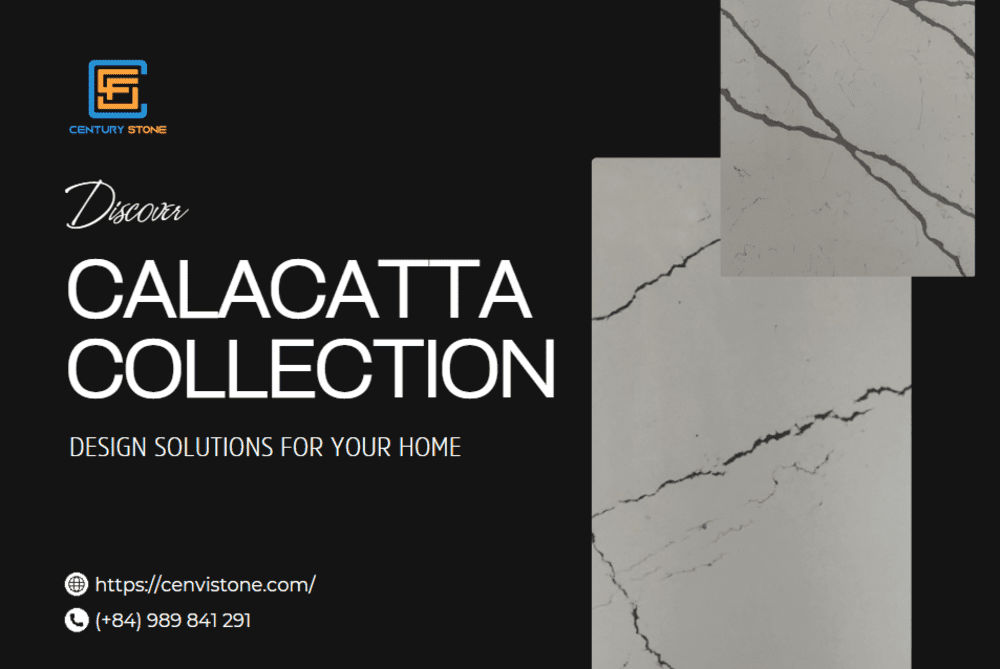 The Calacatta Collection