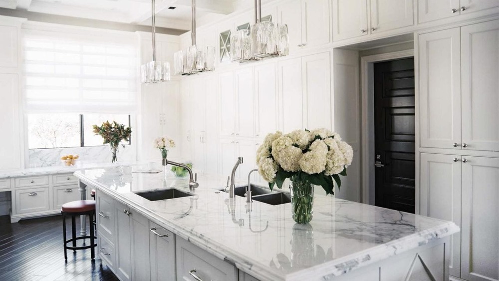 Curated Collection of Contemporary Kitchen Modern White Granite Countertops
